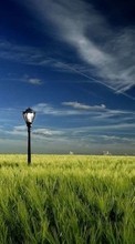 Scaricare immagine Landscape, Grass, Sky sul telefono gratis.