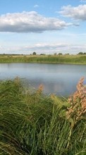 Scaricare immagine 1080x1920 Landscape, Water, Grass, Sky sul telefono gratis.