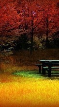 Scaricare immagine Objects,Autumn,Landscape sul telefono gratis.
