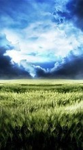 Scaricare immagine Clouds, Landscape, Fields sul telefono gratis.