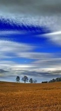 Scaricare immagine Clouds,Landscape,Fields sul telefono gratis.