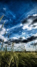 Clouds,Landscape,Fields per HTC Dream