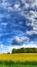 Scaricare immagine Clouds,Landscape,Fields sul telefono gratis.
