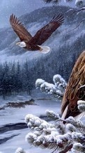 Scaricare immagine Eagles, Birds, Pictures, Snow sul telefono gratis.