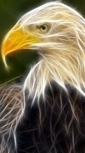 Scaricare immagine 1280x800 Animals, Drawings, Eagles sul telefono gratis.