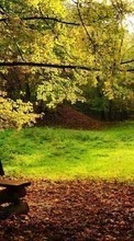 Scaricare immagine Autumn,Landscape sul telefono gratis.