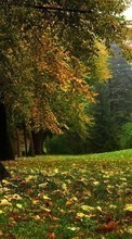 Scaricare immagine Autumn,Landscape sul telefono gratis.