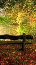 Autumn,Landscape per Lenovo A6010