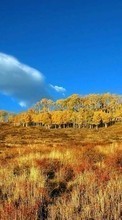 Scaricare immagine 240x320 Landscape, Grass, Fields, Autumn sul telefono gratis.