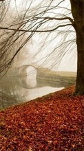 Autumn,Landscape,Nature per Nokia 130