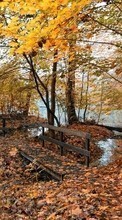 Scaricare immagine Autumn,Landscape,Nature sul telefono gratis.