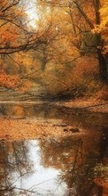 Scaricare immagine Autumn,Landscape,Nature sul telefono gratis.