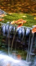 Autumn,Landscape,Rivers per Asus ZenPad C 7.0 Z170CG