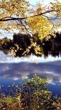 Scaricare immagine Autumn,Landscape,Rivers sul telefono gratis.