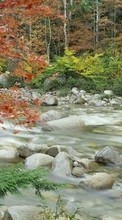 Autumn,Landscape,Rivers per Samsung Galaxy S20