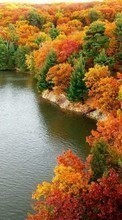 Autumn,Landscape,Rivers per HTC Desire 626G+