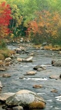 Autumn,Landscape,Rivers per Sony Ericsson K790