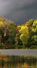 Scaricare immagine Autumn,Landscape,Rivers sul telefono gratis.