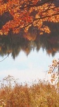 Scaricare immagine 240x320 Landscape, Rivers, Autumn sul telefono gratis.