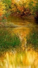 Scaricare immagine Landscape, Rivers, Grass, Autumn sul telefono gratis.