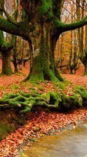 Scaricare immagine Autumn, Landscape, Rivers, Water sul telefono gratis.