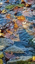 Scaricare immagine Autumn,Landscape,Water sul telefono gratis.