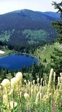 Scaricare immagine Lakes,Landscape,Nature sul telefono gratis.