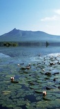 Scaricare immagine Landscape, Water, Lakes sul telefono gratis.