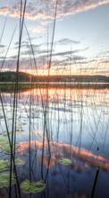 Scaricare immagine Lakes, Nature, Water, Sunset sul telefono gratis.