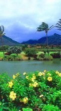 Scaricare immagine Palms,Landscape sul telefono gratis.