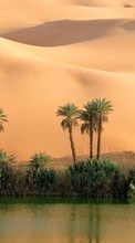 Scaricare immagine Palms, Landscape, Sand, Desert sul telefono gratis.