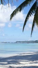Scaricare immagine Palms, Landscape, Beach sul telefono gratis.