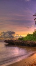 Scaricare immagine Palms,Landscape,Beach sul telefono gratis.