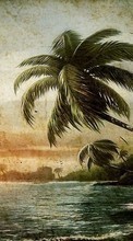 Scaricare immagine Palms,Landscape,Beach,Pictures sul telefono gratis.