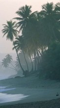 Scaricare immagine Palms, Landscape, Beach, Waves sul telefono gratis.