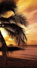 Scaricare immagine Palms,Landscape,Beach,Sunset sul telefono gratis.