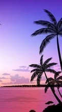 Scaricare immagine 800x480 Landscape, Sunset, Palms, Drawings sul telefono gratis.