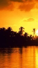 Scaricare immagine Palms,Landscape,Sunset sul telefono gratis.