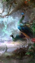 Scaricare immagine Peacocks,Birds,Pictures sul telefono gratis.