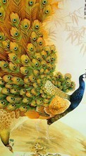 Scaricare immagine 480x800 Animals, Birds, Drawings, Peacocks sul telefono gratis.