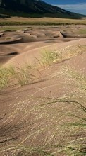 Scaricare immagine Landscape, Sand, Desert, Grass sul telefono gratis.