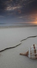 Scaricare immagine Landscape,Beach,Shells sul telefono gratis.