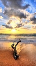 Landscape,Beach,Sunset per HTC Desire X