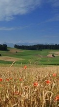 Landscape,Fields per HTC Desire VT