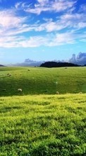Scaricare immagine Landscape,Fields sul telefono gratis.