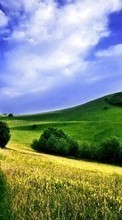 Scaricare immagine Landscape,Fields,Nature sul telefono gratis.