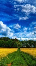 Scaricare immagine Landscape,Fields,Nature sul telefono gratis.