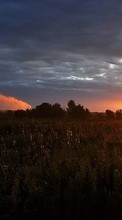 Scaricare immagine Landscape, Fields, Sunset sul telefono gratis.