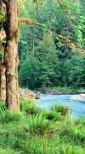 Scaricare immagine Landscape,Nature,Rivers sul telefono gratis.