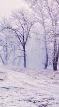 Landscape,Nature,Winter per Sony Xperia Z5